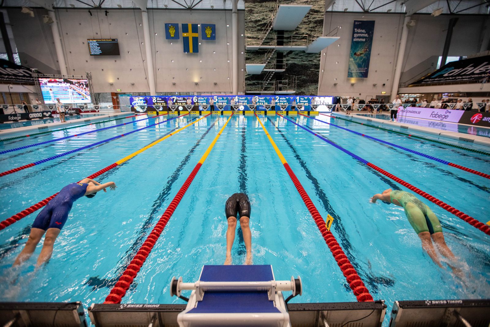 image: Mingel och Föreläsning 