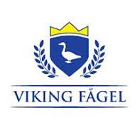 Viking Fågel